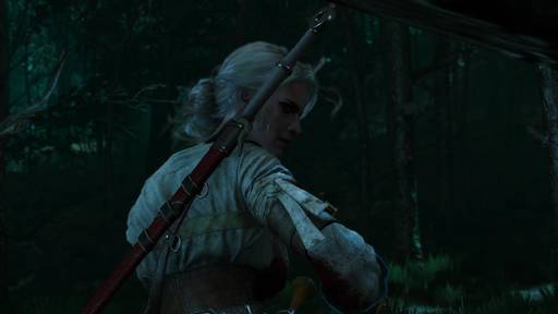 The Witcher 3: Wild Hunt - Цири – потрясающая героиня The Witcher 3: Wild Hunt