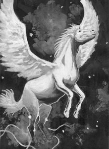 Pegasus06